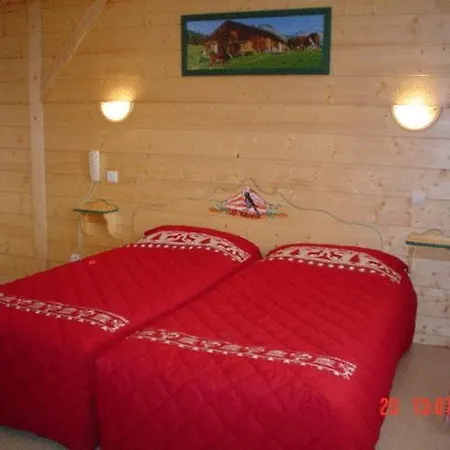 Le Choucas 2* Chatel